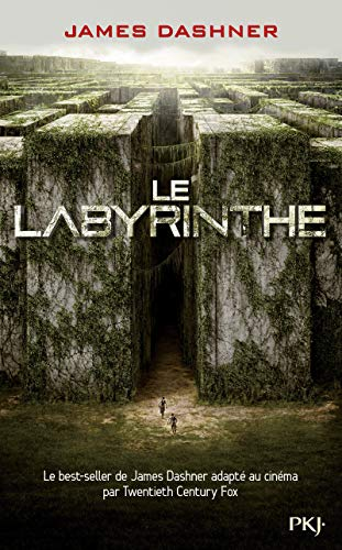 Le labyrinthe. Livre 1 : l'épreuve
