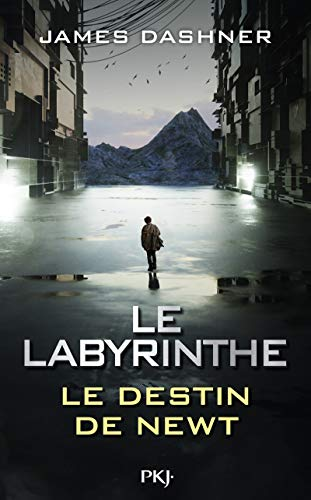 Le labyrinthe : le destin de Newt