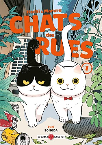 Chats des rues, tome 1